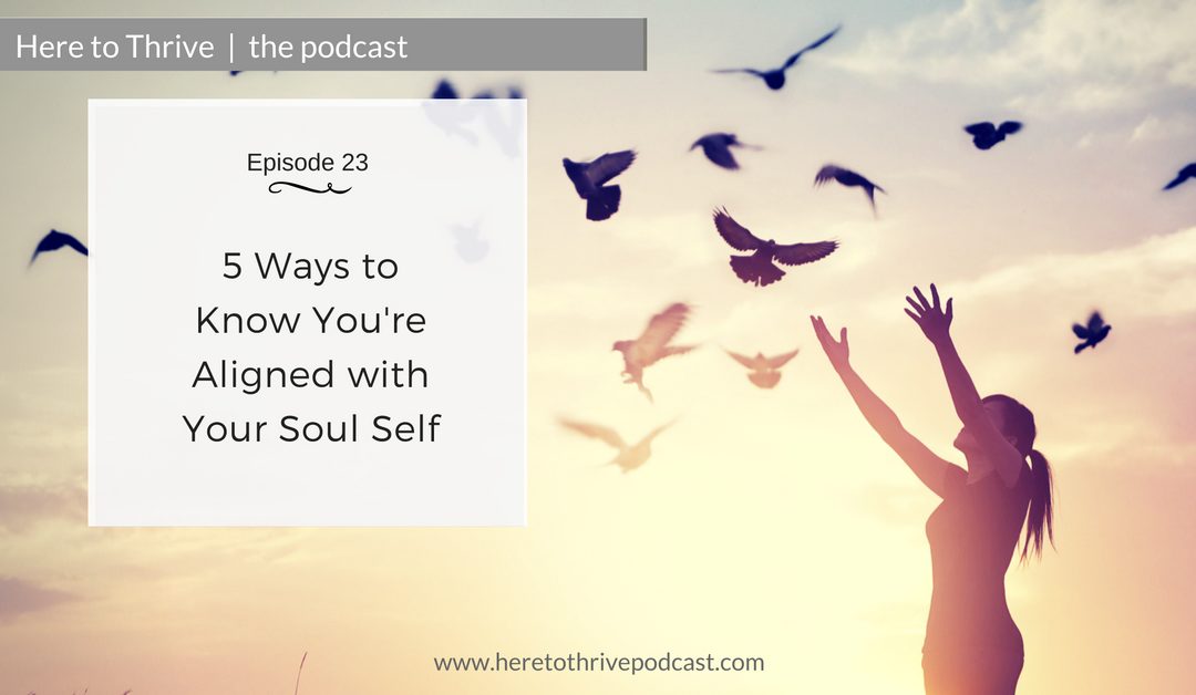 #23: 5 Ways to Know You’re Aligned with Your Soul Self